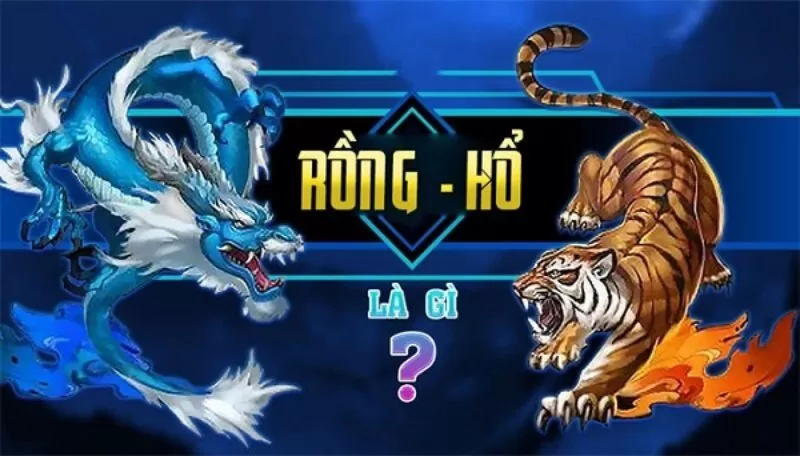 Hướng dẫn cách chơi rồng hổ như dân chuyên